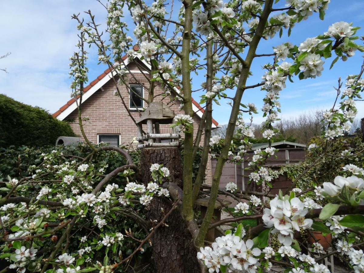 Het Pronkje Ferienhaus Renesse
